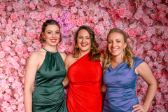 Ali_Gator_123-RosesLove-365
