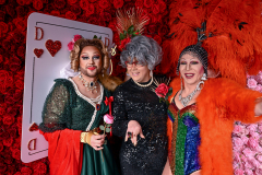 Ali_Gator_123-RosesLove-568