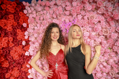 Ali_Gator_123-RosesLove-586