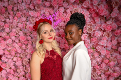 Ali_Gator_123-RosesLove-643