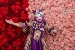20260213-Roses-of-Love-Ball_Wolfgang_Grebner-7376