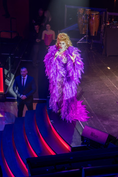 20260213-Roses-of-Love-Ball_Wolfgang_Grebner-7439