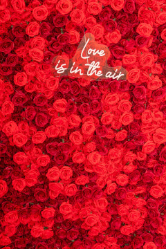 20260213-Roses-of-Love-Ball_Wolfgang_Grebner-7451