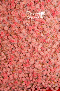 20260213-Roses-of-Love-Ball_Wolfgang_Grebner-7452