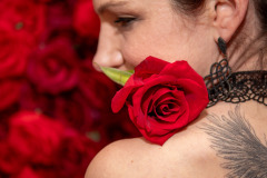 20260213-Roses-of-Love-Ball_Wolfgang_Grebner-7812